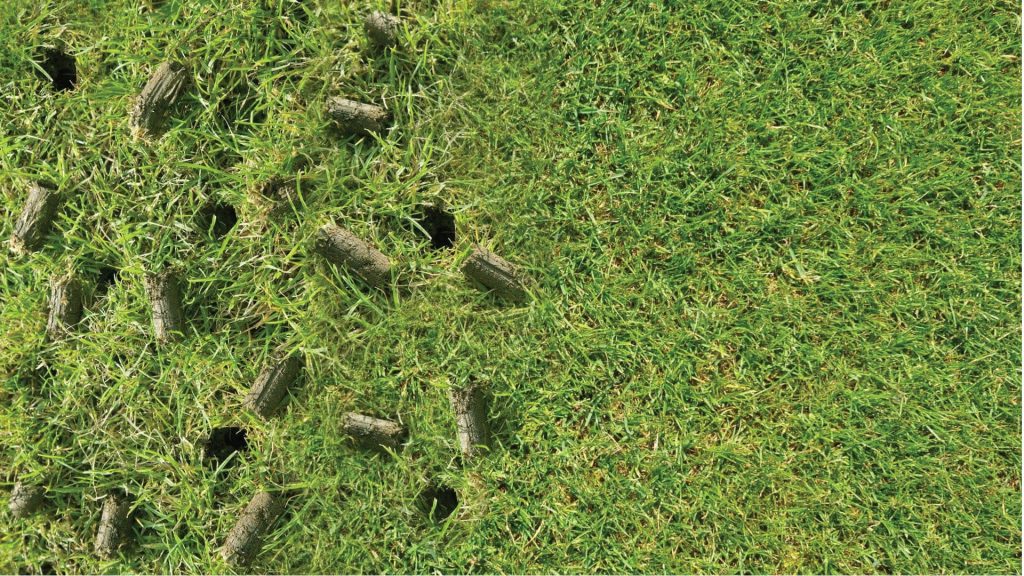 Aeration and Seeding: Enhancing Your Lawn’s Health and Appearance post thumbnail